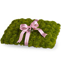 Ringbearer's Pillow from Boulevard Florist Wholesale Market